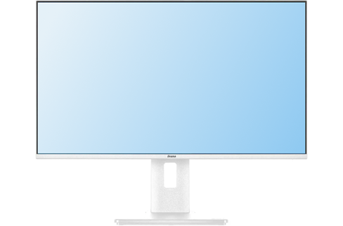 Monitor 24"